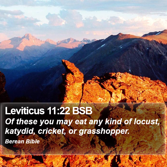 Leviticus 11:22 BSB Bible Study