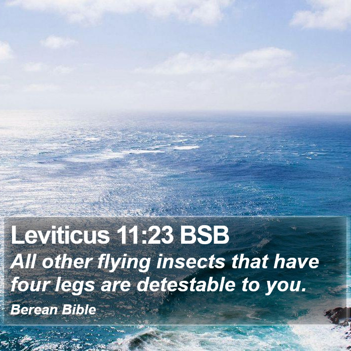 Leviticus 11:23 BSB Bible Study