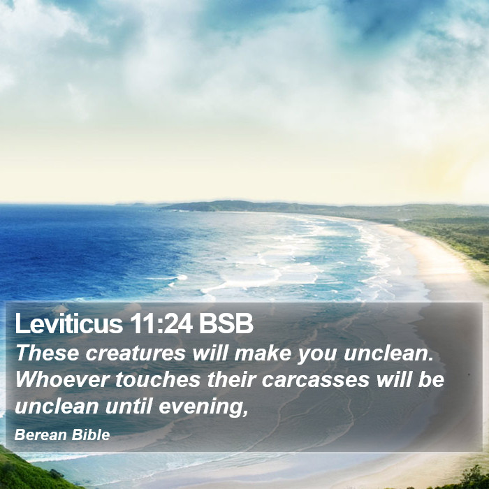 Leviticus 11:24 BSB Bible Study