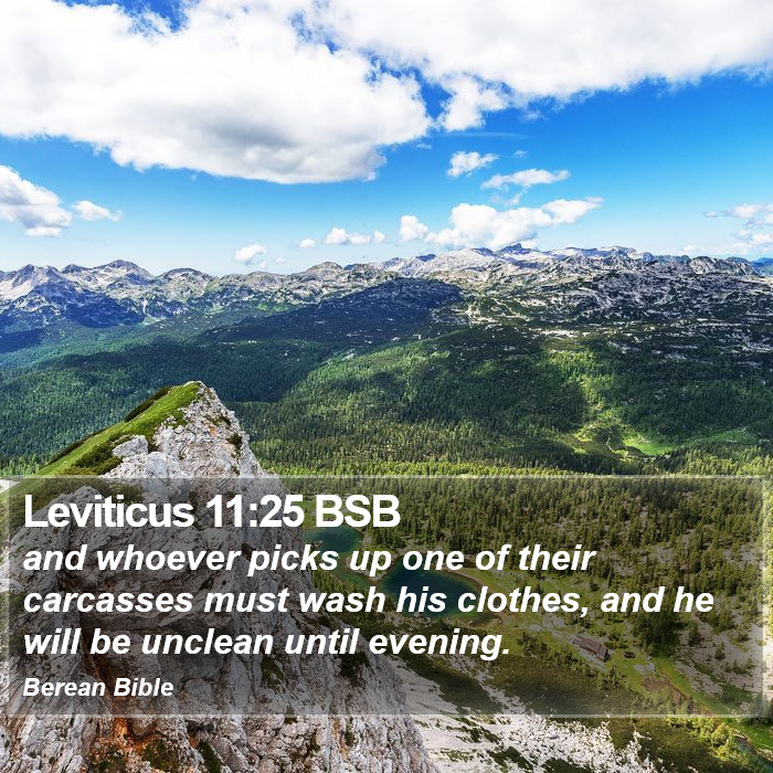 Leviticus 11:25 BSB Bible Study