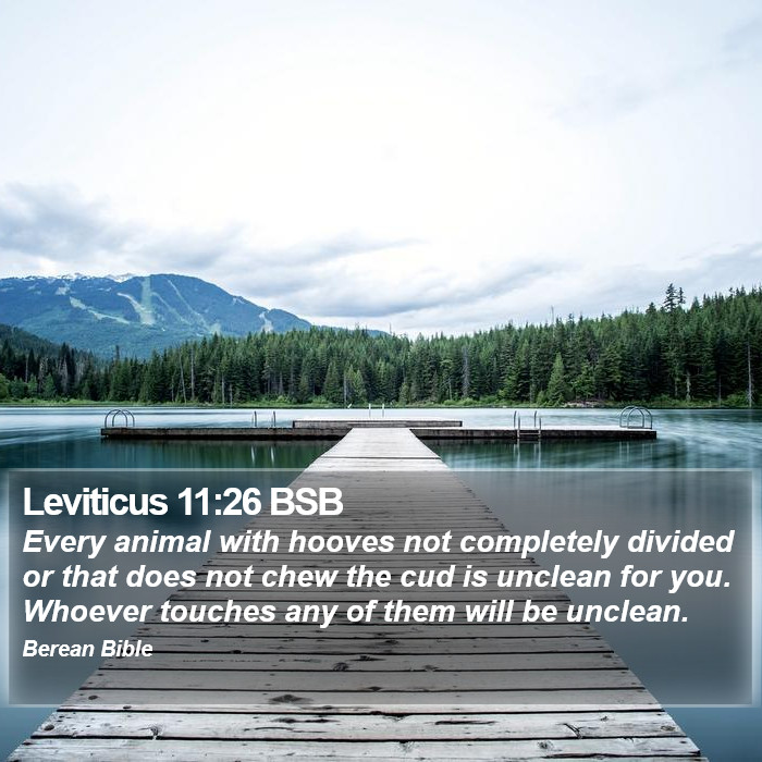 Leviticus 11:26 BSB Bible Study