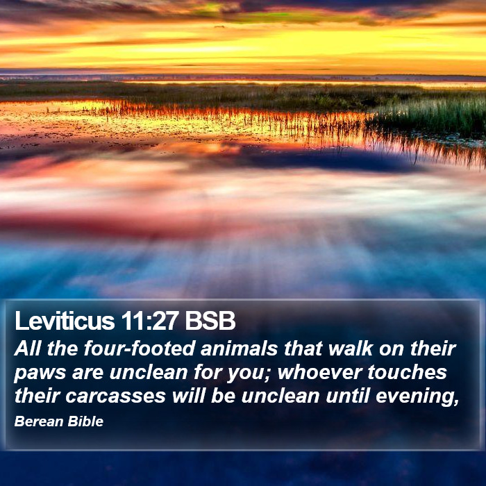 Leviticus 11:27 BSB Bible Study