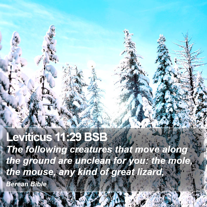 Leviticus 11:29 BSB Bible Study