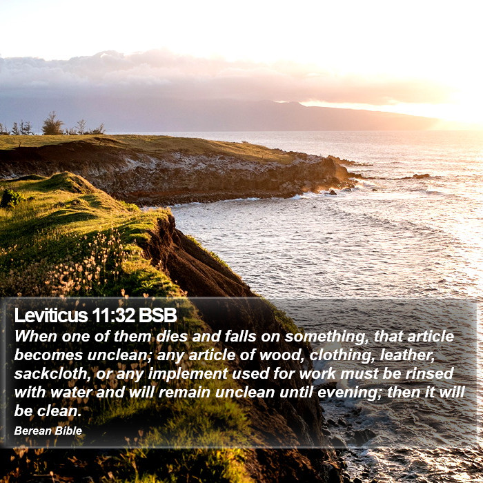 Leviticus 11:32 BSB Bible Study