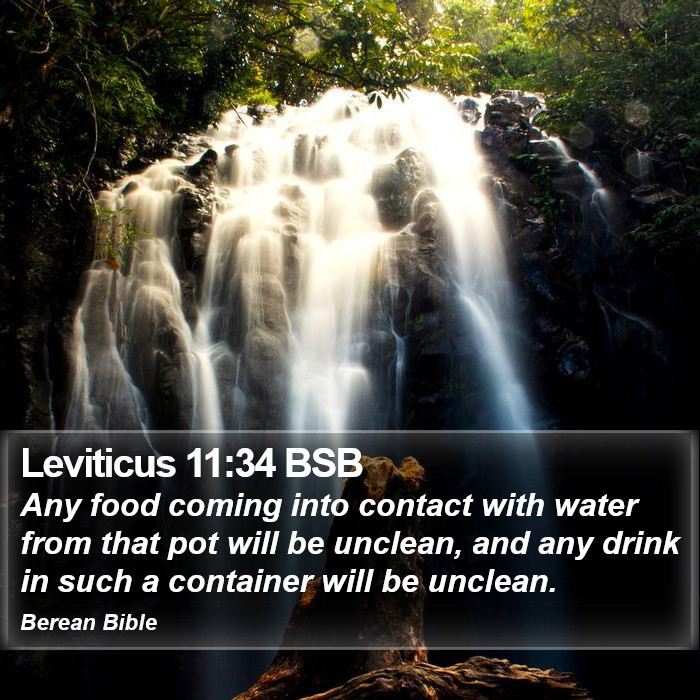 Leviticus 11:34 BSB Bible Study