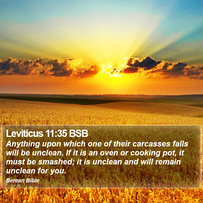 Leviticus 11:35 BSB Bible Study