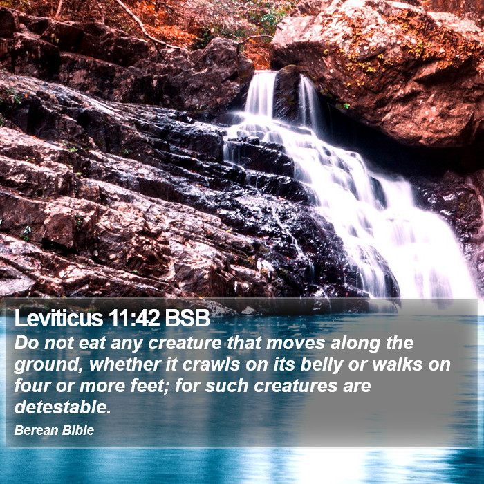 Leviticus 11:42 BSB Bible Study