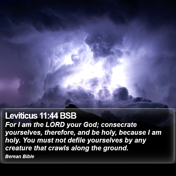 Leviticus 11:44 BSB Bible Study