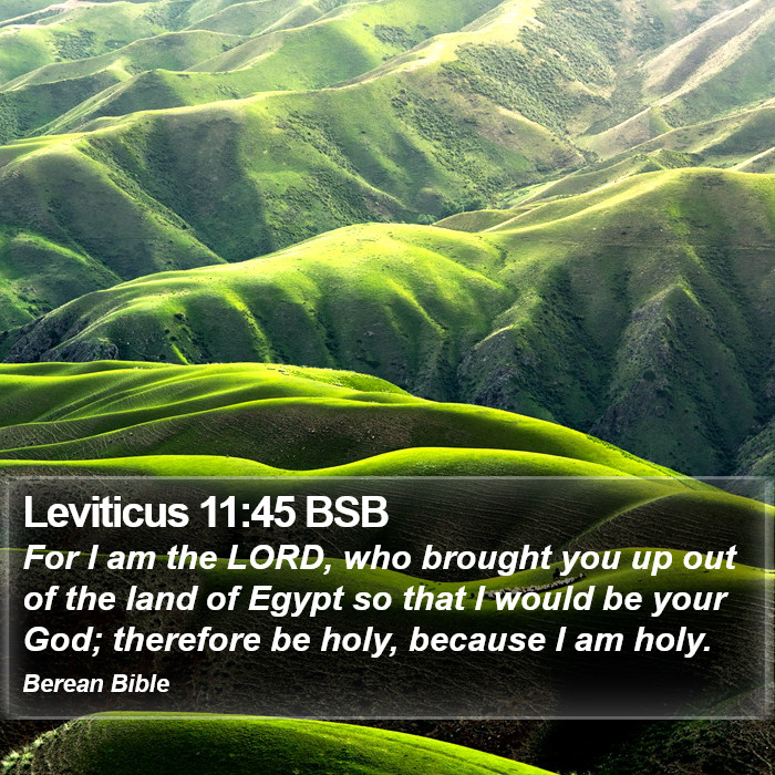 Leviticus 11:45 BSB Bible Study