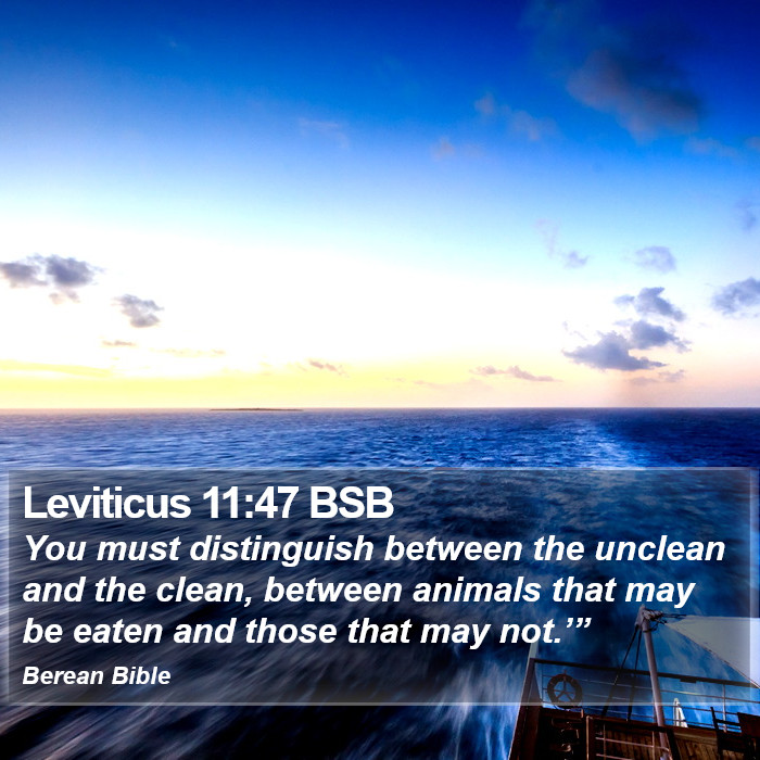 Leviticus 11:47 BSB Bible Study