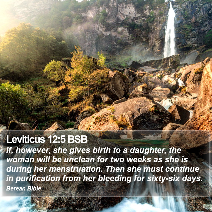 Leviticus 12:5 BSB Bible Study