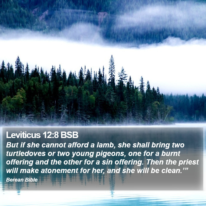 Leviticus 12:8 BSB Bible Study