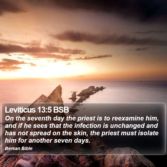 Leviticus 13:5 BSB Bible Study