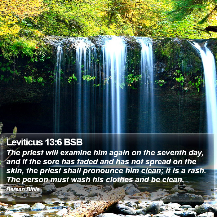 Leviticus 13:6 BSB Bible Study