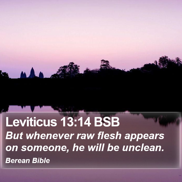 Leviticus 13:14 BSB Bible Study