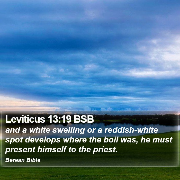 Leviticus 13:19 BSB Bible Study