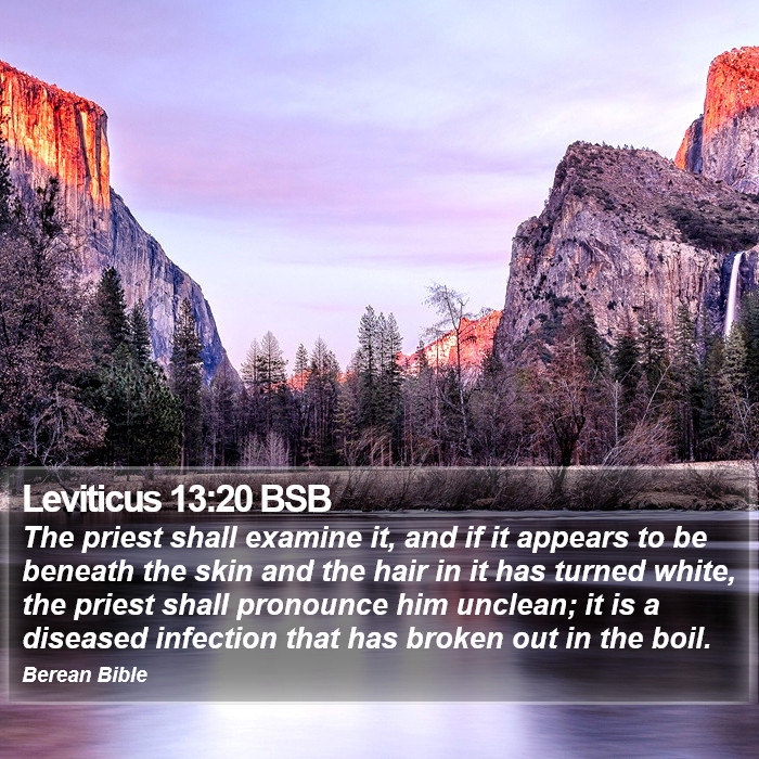 Leviticus 13:20 BSB Bible Study