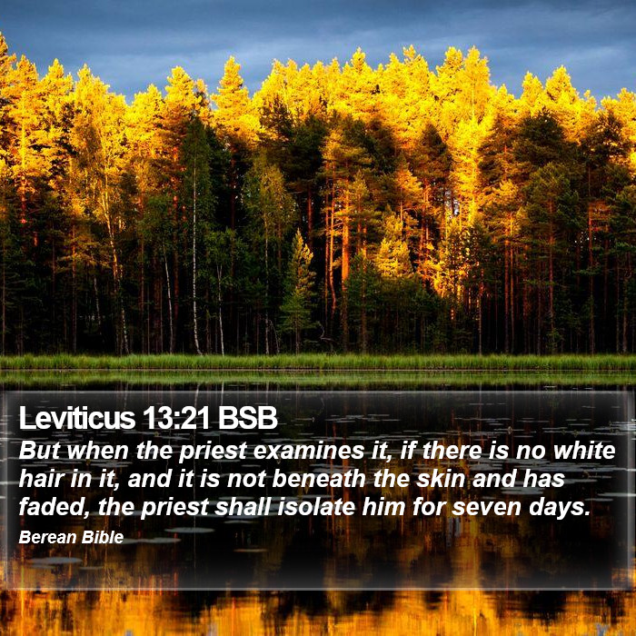 Leviticus 13:21 BSB Bible Study