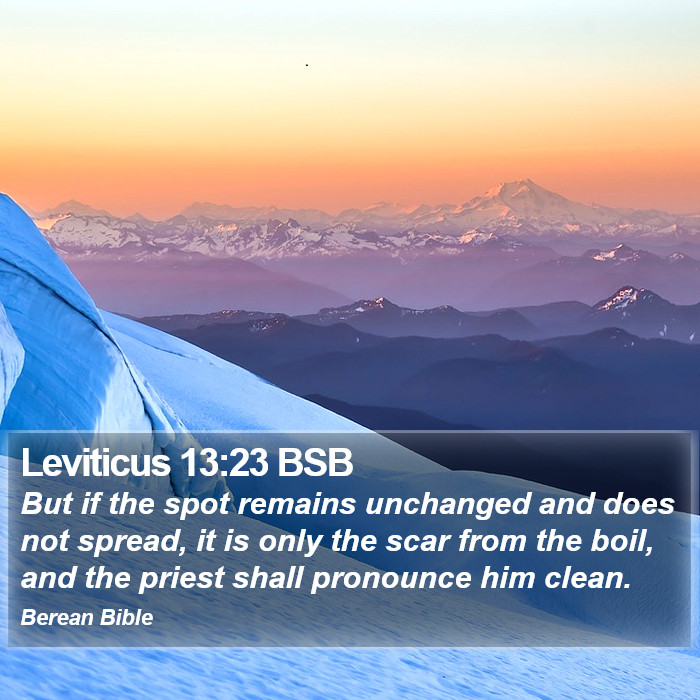 Leviticus 13:23 BSB Bible Study