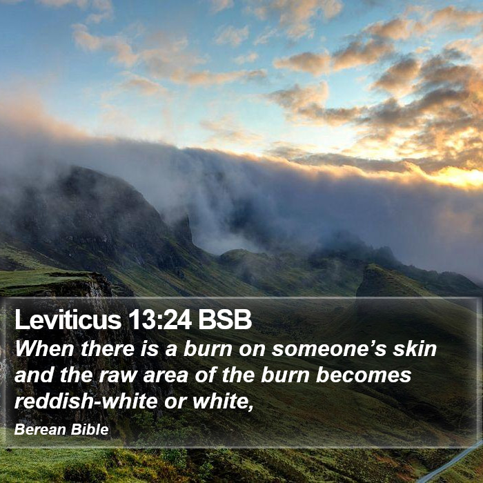 Leviticus 13:24 BSB Bible Study