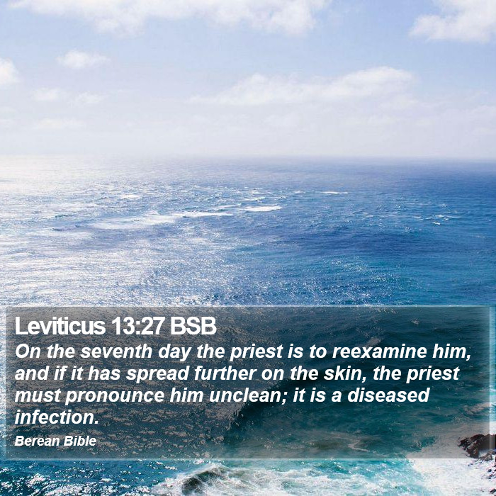 Leviticus 13:27 BSB Bible Study