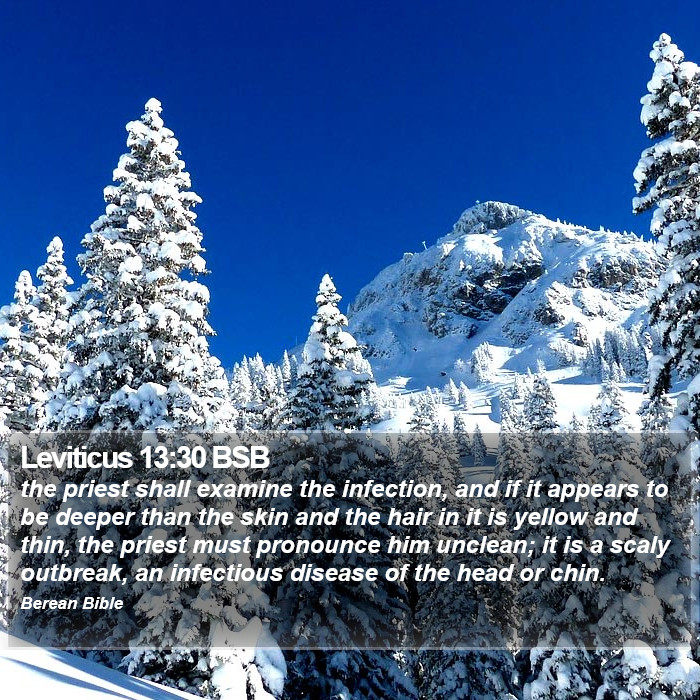 Leviticus 13:30 BSB Bible Study