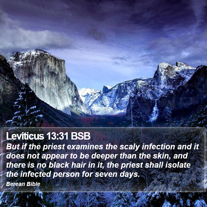 Leviticus 13:31 BSB Bible Study