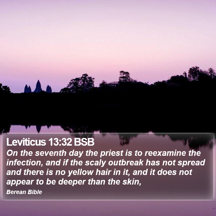 Leviticus 13:32 BSB Bible Study