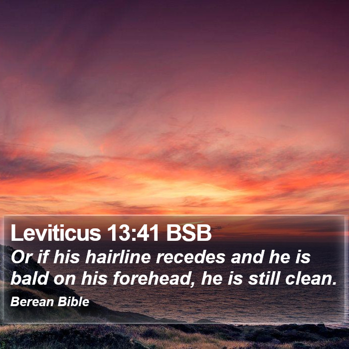 Leviticus 13:41 BSB Bible Study