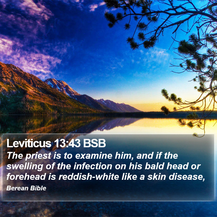 Leviticus 13:43 BSB Bible Study