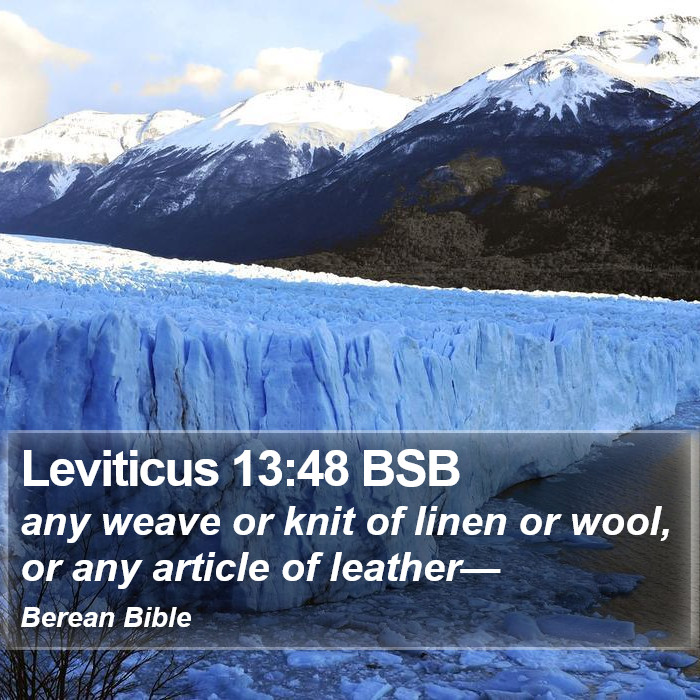 Leviticus 13:48 BSB Bible Study