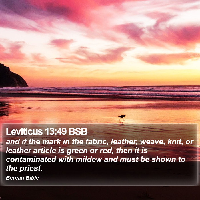 Leviticus 13:49 BSB Bible Study