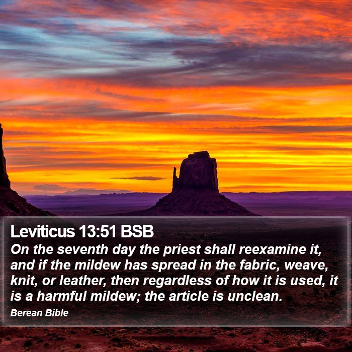 Leviticus 13:51 BSB Bible Study