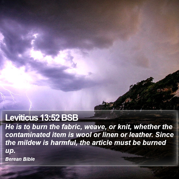 Leviticus 13:52 BSB Bible Study