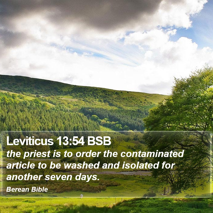 Leviticus 13:54 BSB Bible Study