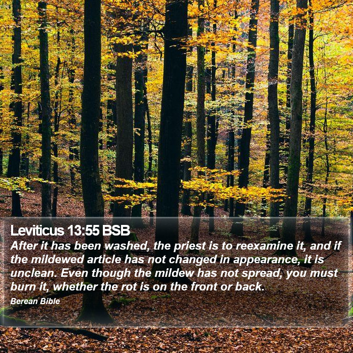 Leviticus 13:55 BSB Bible Study