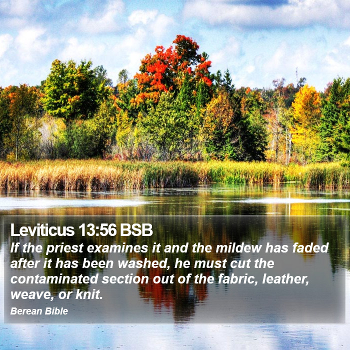 Leviticus 13:56 BSB Bible Study