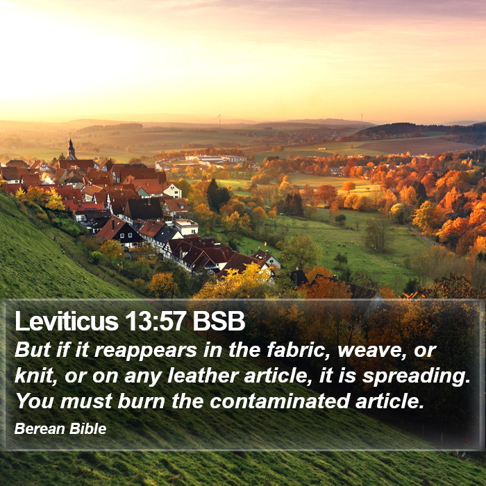 Leviticus 13:57 BSB Bible Study