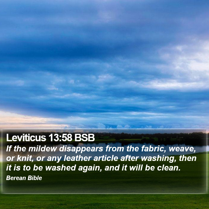 Leviticus 13:58 BSB Bible Study