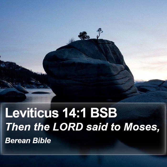 Leviticus 14:1 BSB Bible Study