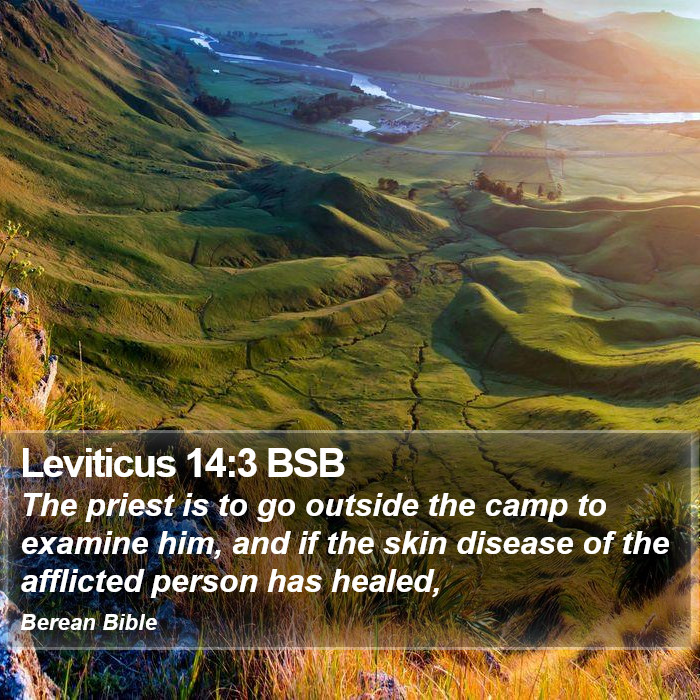 Leviticus 14:3 BSB Bible Study