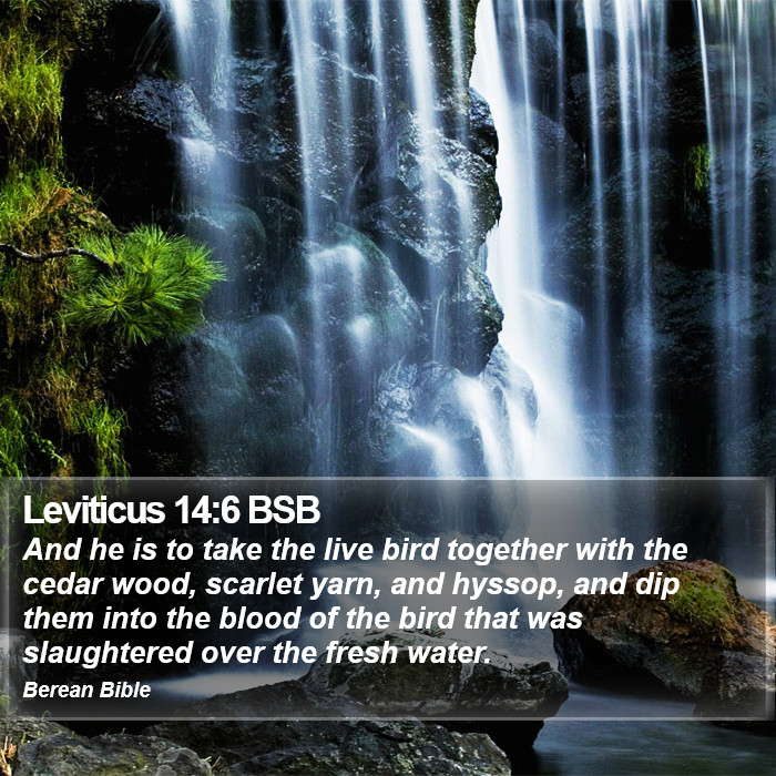 Leviticus 14:6 BSB Bible Study