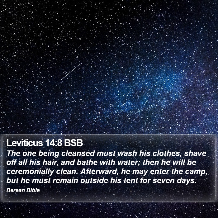 Leviticus 14:8 BSB Bible Study