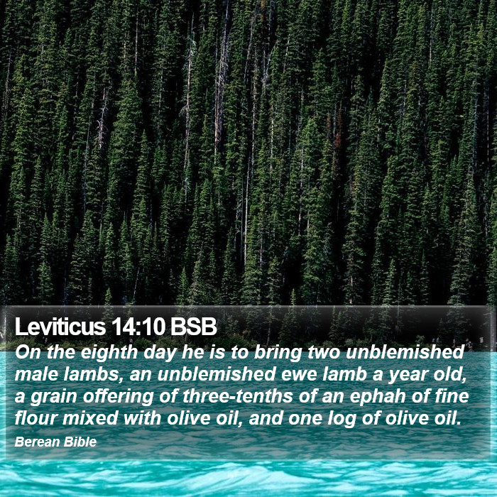 Leviticus 14:10 BSB Bible Study