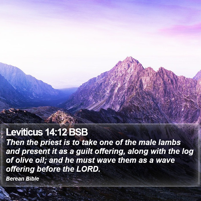 Leviticus 14:12 BSB Bible Study