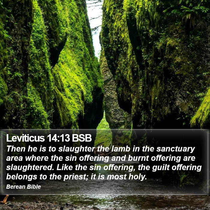 Leviticus 14:13 BSB Bible Study