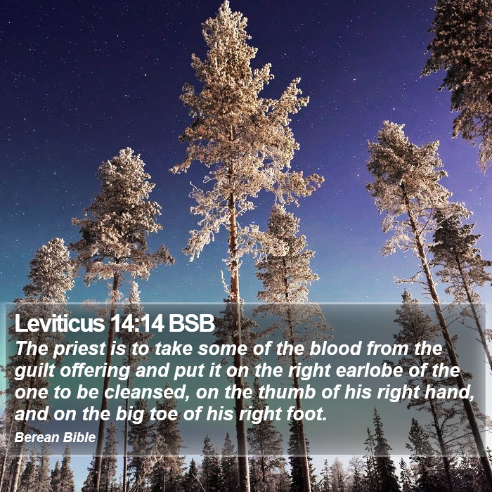 Leviticus 14:14 BSB Bible Study