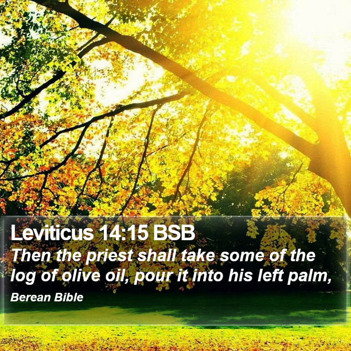 Leviticus 14:15 BSB Bible Study