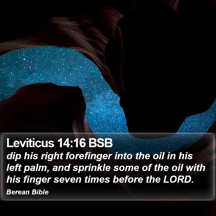 Leviticus 14:16 BSB Bible Study