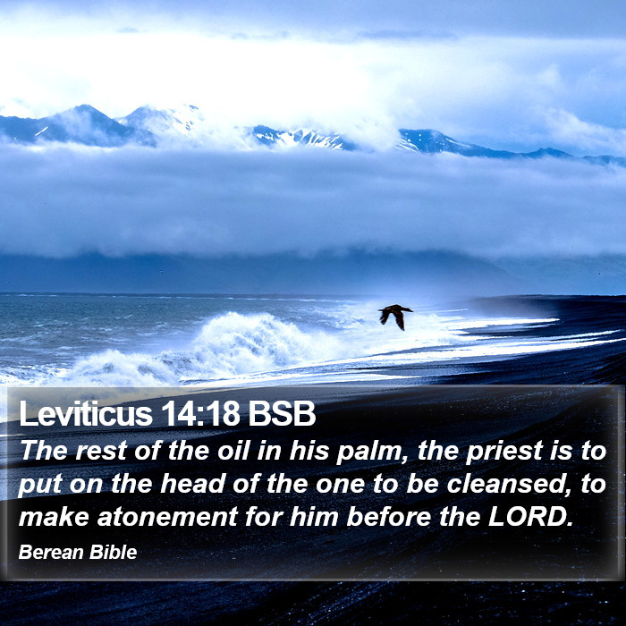 Leviticus 14:18 BSB Bible Study